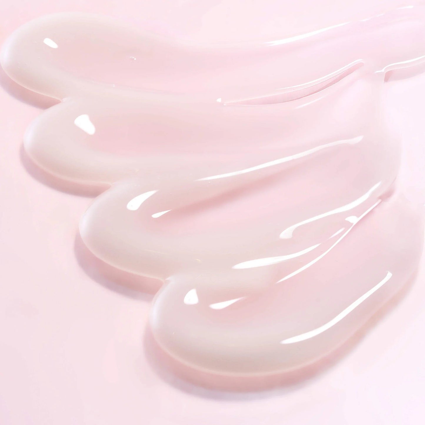 Round Lab: Camellia Deep Collagen Firming Cream