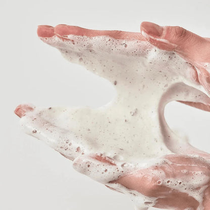 ANUA: Heartleaf Quercetinol Pore Deep Cleansing Foam