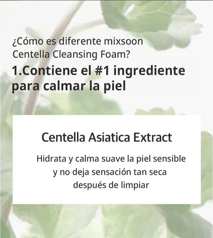 mixsoon: Centella Cleansing Foam